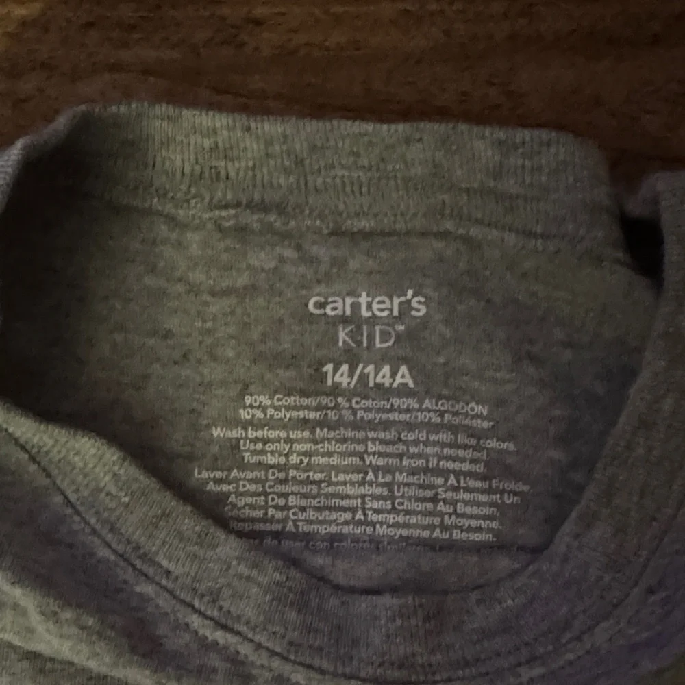 Carter's Gray T-Shirt with Dinosaur Design